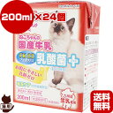 送料無料・同梱可 ねこちゃんの国産牛乳 乳酸菌プラス 200mL×24個 ドギーマンハヤシ ▼a ペット フード 猫 キャット ミルク