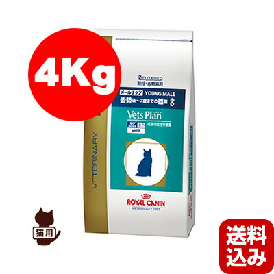 【送料込】ベッツプラン 猫用 メールケア 4kg ロイヤルカナン▼b ペット フード キャット猫 去勢猫 準療法食