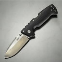 COLD STEEL 折りたたみナイフ AD-10 ロックバック 直刃 G10ハンドル CS-28DD コールドスチール コールドスティール AD10 ドロップポイント フォールディングナイフ 折り畳みナイフ 折り畳み式ナイフ 折りたたみ式ナイフ フォルダー キャンプ ブッシュクラフト アウトドア
