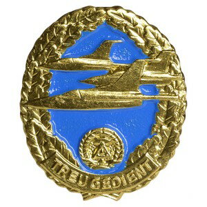 ドイツ軍放出品 ピンバッジ NVA 東ドイツ 空軍 military 記章 DDR 国家人民軍 胸章 襟章 ミリタリー 軍物 軍払い下げ品 ミリタリーバッジ ピンズ エンブレム ミリタリーサープラス ミリタリーグッズ