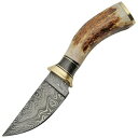 Damascus XLi[ Skinner X^bOnh DM-1188 _}XJX ̊p z[nh iCt NVbNiCt KbgtbN ʔ ̔