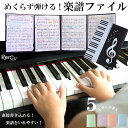 送料無料 楽譜入れファイル 楽譜用ファイル 楽譜 ファイル 楽譜入れ 楽譜ファイル 吹奏楽 ファイル ミュージックファイル 吹奏楽部 部活 中学生 高校生 大学...