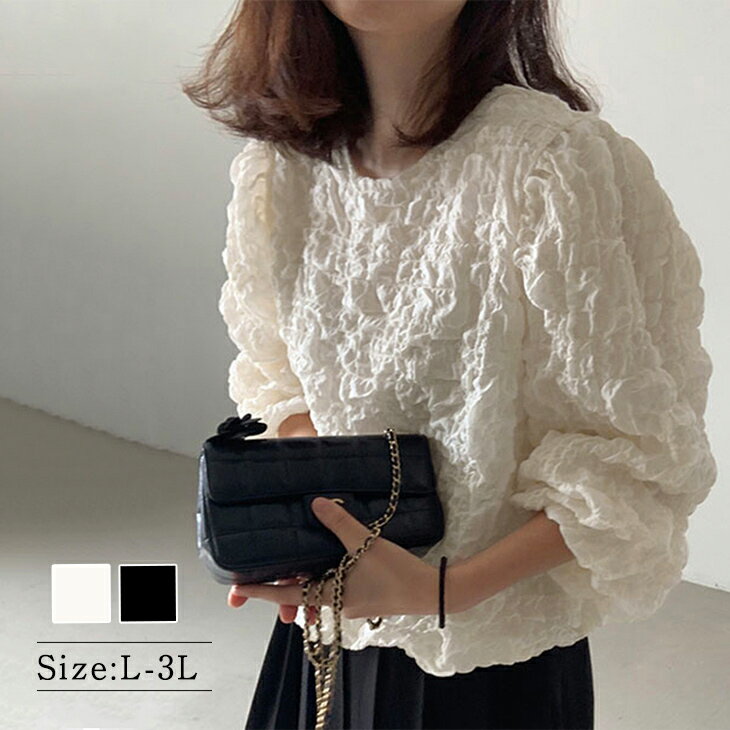 【6/26 50%OFF！2点購入クーポンで】トップス カットソー ワイド ゆったり 体型カバー ふんわり 長袖 二の腕カバー シンプル しぼ感 オフホワイト ブラック お出かけ 日常 オフィス レディースファッション 20代 30代 40代 50代 60代 ReReのサムネイル