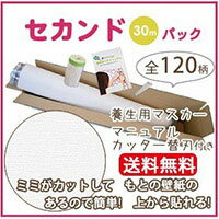 壁紙 の 上 から 貼れる 壁紙 生のりつき クロス リリカラ LB9226-S30 生のり付き壁紙(REROOM)