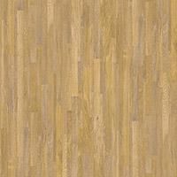 åƥ󥰥 Υå Ĵ 3M ꡼ åƥ󥰥 FW-1306 FW1306 Υåե