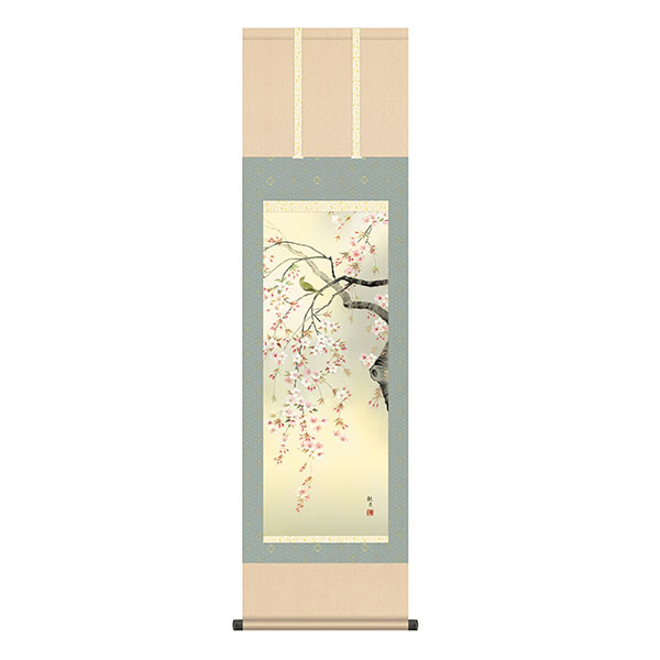 掛軸 床の間 春掛け 桜花 森山観月 尺三 44.5×164 KZ2MA2-088