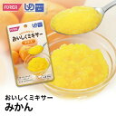 おいしくミキサーみかん 介護食【ホリカフーズ】 ユニバーサルデザインフード 区分4 かまなくてよい ミキサー食 レトルト やわらか食 介護食品 手軽 流動食 ペースト 福祉 高齢者 お年寄り