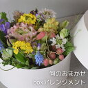 旬のおまかせボックスアレンジメント 生花送料無料アレンジメント ボックスフラワー おしゃれ ギフト プレゼント 記念日 送別 誕生日 お祝い お供え お中元 サプライズ お見舞い 結婚記念日 卒業式 ご挨拶 お礼 引越し祝い
