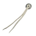 TADY&KINGWホイール 革紐セット