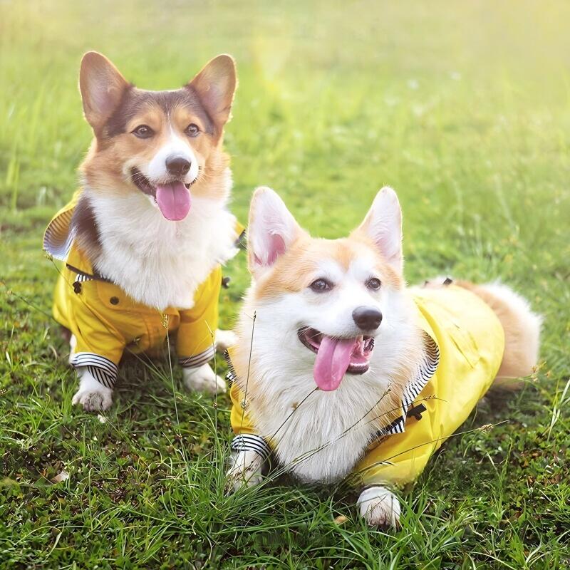 爱犬服饰 - 犬用 レインコート 小型犬 中型犬 大型犬用 レインポンチョ レインウェア ポンチョ 犬の服 カッパ 犬服 雨 防水 通気 防風 犬 レイングッズ 反射テープ付き 雨具
