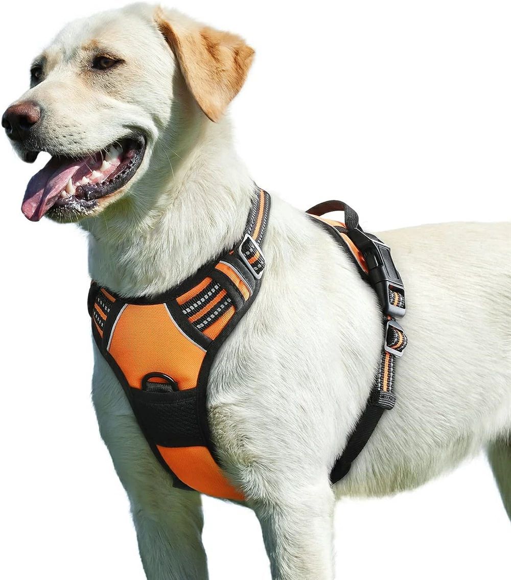 大型犬 安心散歩 犬 ラブラドール ゴールデン レトリバー 犬用 脱着簡単 18-34kg ハーネス サイズ調整可能 通気性 L 引っ張り防止胴輪 犬への負担が少ない 夜間反射