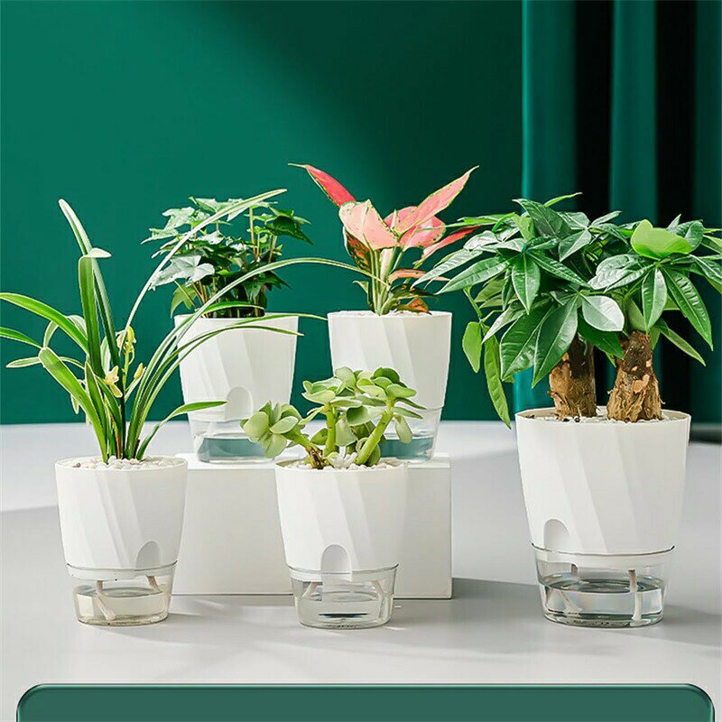 【自動給水機能付き】貯水層独特な設計で、植物根部分の水量と酸素量のバランスを保て、根を自由に呼吸させ、成長させます。紐で鉢底の水を吸収し、自動給水が実現させます。【植物の栽培に適切】多肉植物や観葉植物、野菜栽培などに適切です。プラスチック製で、軽くて運べせやすいです。【便利】週に1-2回だけ水やり、大いに時間を節約します。出張や旅行に行っても植物は枯れるようになる心配が要りません。ですから、植物育成が好きなのに、普段植物の世話になる時間が少ない人や初心者さんへのベストチョイスです。【高いインテリア性】土栽培の観葉植物では必要な水受け皿が必要なく、おしゃれに飾ることができます。中に入っている植え込み材も美しい見た目で透明な容器でもすっきりとした清潔な印象があります。【人気園芸プレゼント】おしゃれな色や外形、このプランターを素敵なギフトとして、園芸が上手な友達へ送っても最適です。あるいは、あっさりして、現代的な生活スタイルとの触れ合いとして、インテリアや窓側、卓上などに置いて完璧です。【注意事項】※画像はご覧になっているモニターやPCなどの環境により、実物と多少カラーが異なる場合がございます。※ページに記載の通りですが、製造時期や改良などによって仕様が若干異なる場合がございますので何卒ご了承下さい。※色味やサイズが異なるなどのクレームはご対応致しかねますので、ご了承ください。※商品のサイズは採寸方法によって、若干な誤差が生じる場合はあります。ご了承ください。※こちらの対応と商品について何かご不満がありましたら、「レビュー」を付ける前に一度ショップとご連絡してお願いいたします、ショップの誠意を持って最後まで対応させていただきます。【品質保証】植木鉢 自己給水 プランター ポット 12cm 15cm 20cm ホワイト ピンク ブルー