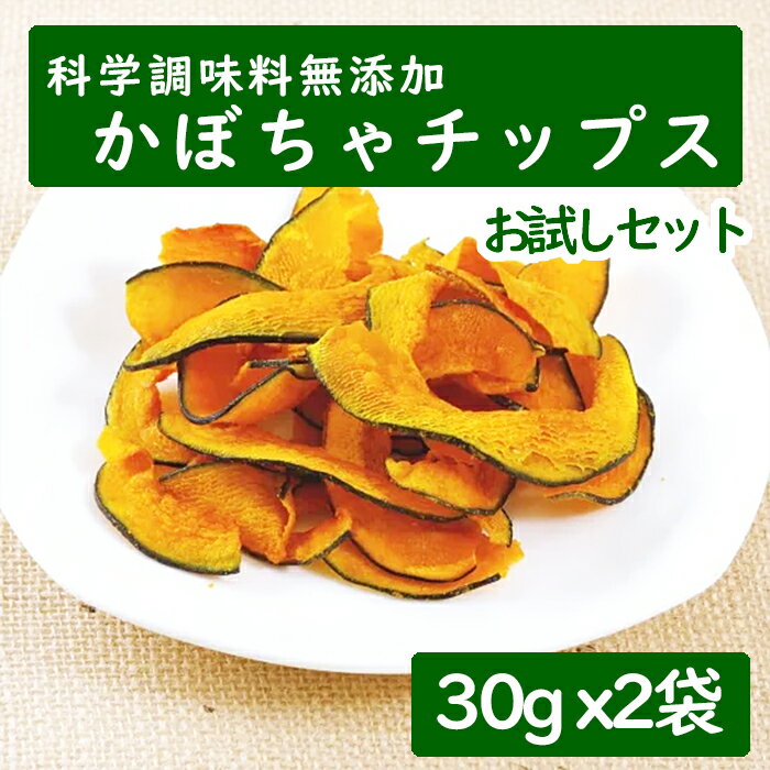 科学調味料不使用 無添加 かぼちゃ チップス 食物繊維 おやつ おつまみに 2袋セット 【送料無料】食べきりサイズ ちょうどいい やさい 野菜 カボチャ 南瓜 スナック 塩分控えめ 素材の甘さ 低カロリー サクサク食感 国産 お菓子 健康食品 リピート続出