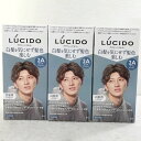 【未使用品】ルシード デザインヘアカラークールアッシュ 白髪用 2Aクールアッシュ★3個