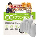 【背中まで支えられる大判タイプ】 腰枕 腰 クッション 【理学療法士監修】 新幹線 飛行機 オフィス エアー 背もたれ 持ち運び