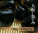 宍道湖 大和しじみ 光輝 Lサイズ 冷凍 4kg 500g×8 砂抜き済 国産 大粒 しじみ 島根 出汁 味噌汁 シジミ お取り寄せ 贈り物 お歳暮