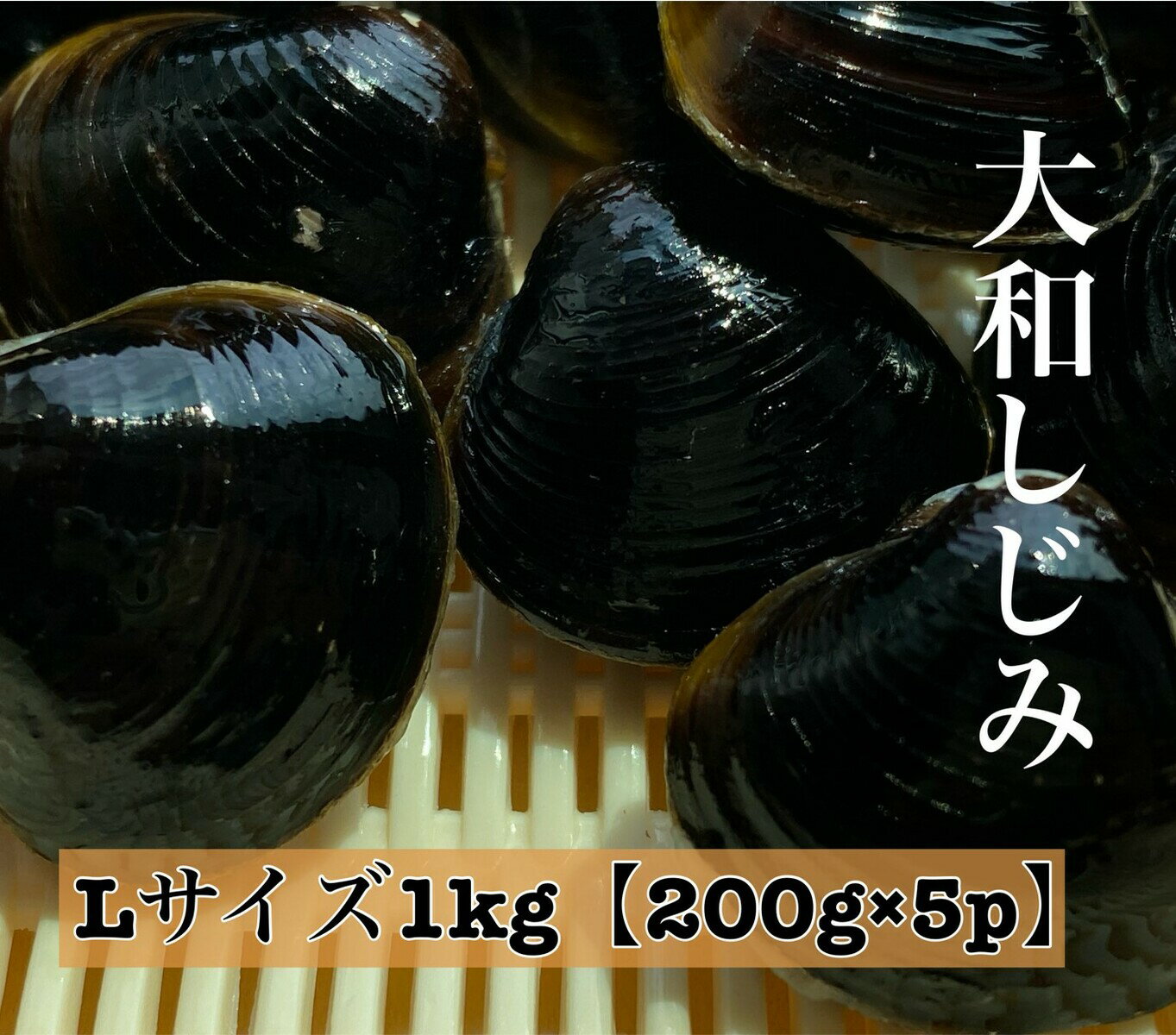 宍道湖 大和しじみ 光輝 Lサイズ 冷凍 1kg 200g×5 砂抜き済 大粒 しじみ 貝 島根 出汁 味噌汁 シジミ お取り寄せ 贈り物