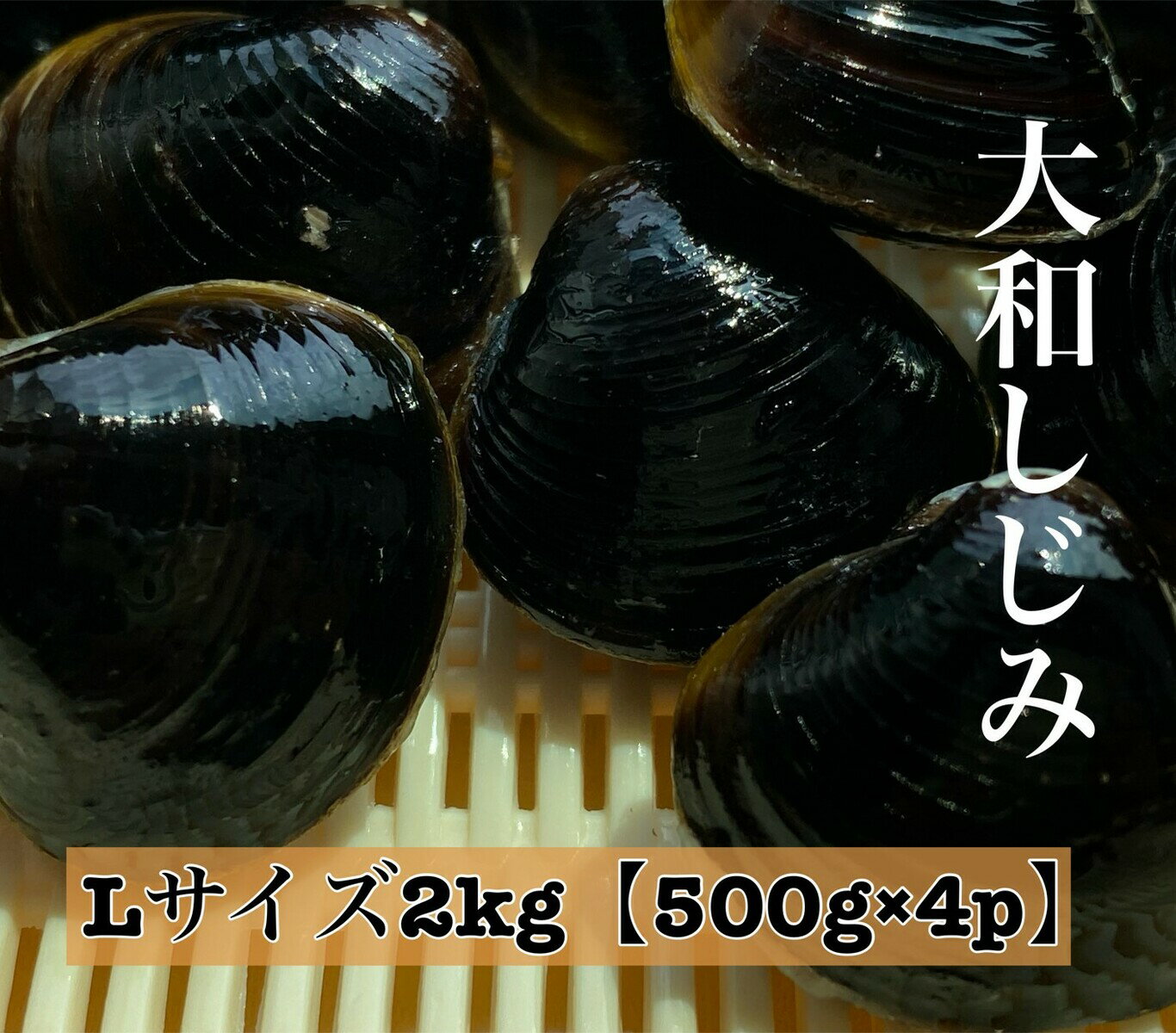 宍道湖 大和しじみ 光輝 Lサイズ 冷凍 2kg 500g×4 砂抜き済 国産 大粒 しじみ 貝 島根 出汁 味噌汁 シジミ お取り寄…