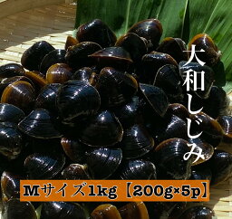 宍道湖 大和しじみ 光輝 Mサイズ 冷凍 1kg 200g×5 砂抜き済 大粒 しじみ 島根 出汁 味噌汁 シジミ お取り寄せ 贈り物