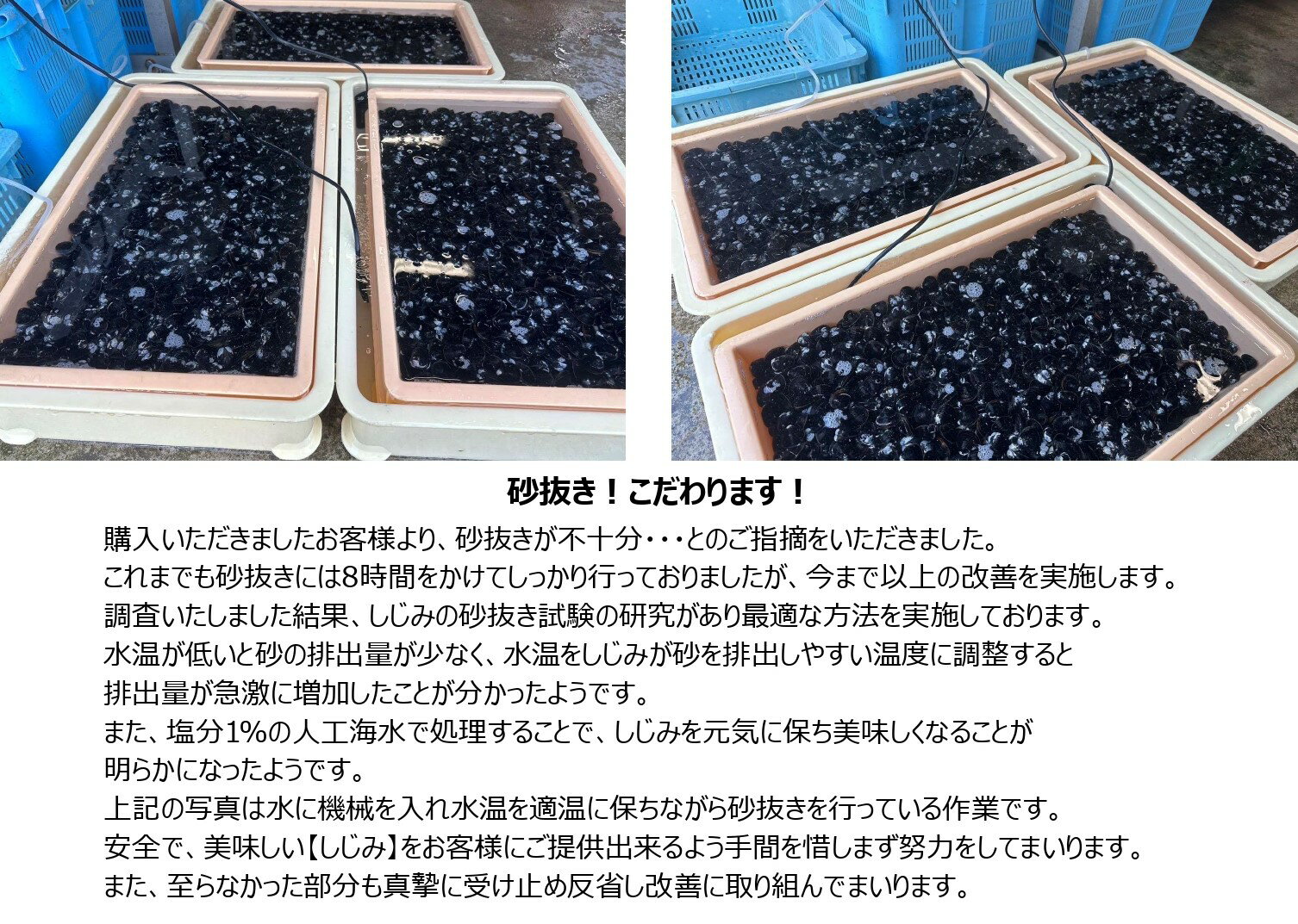 【ポイント2倍！9日20時～16日1:59迄】宍道湖 大和しじみ 光輝 Lサイズ 冷凍 4kg 500g×8 砂抜き済 国産 大粒 しじみ 島根 出汁 味噌汁 シジミ お取り寄せ 贈り物 お歳暮 3