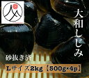 宍道湖 大和しじみ 光輝 Lサイズ 冷凍 2kg 500g×4 砂抜き済 国産 大粒 しじみ 食品 貝 島根 出汁 味噌汁 シジミ お取り寄せ 贈り物 ギフト