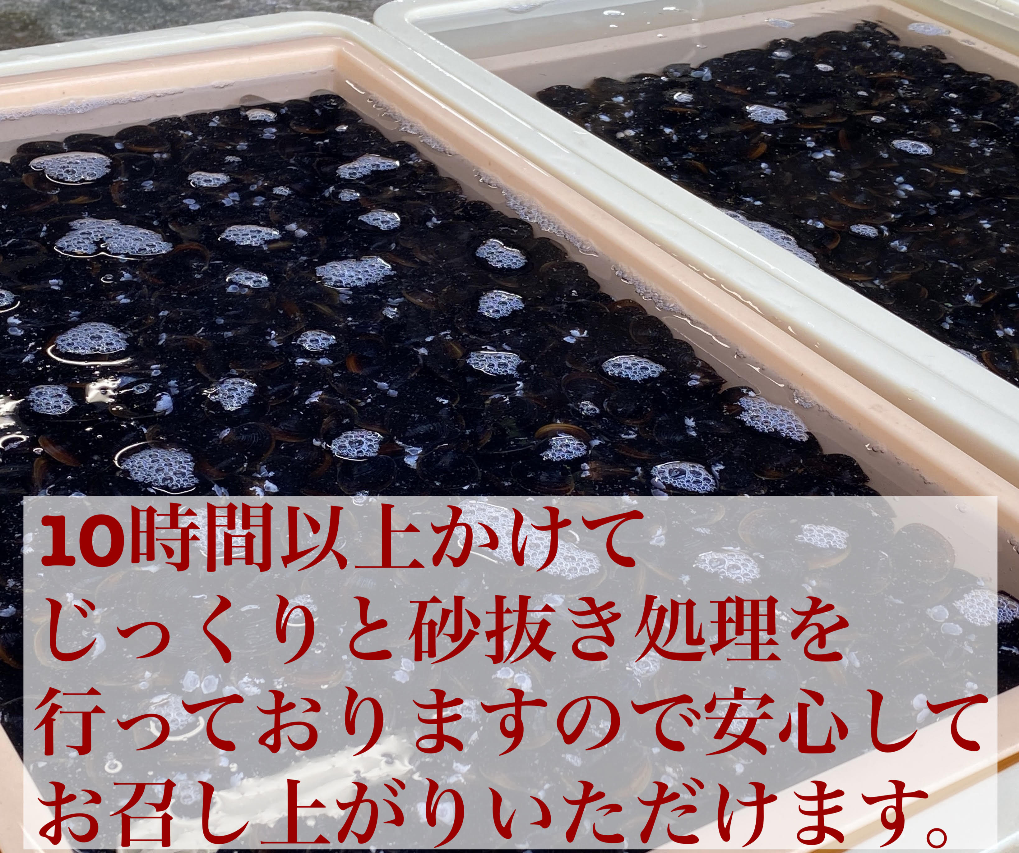 宍道湖 大和しじみ 光輝 Mサイズ 冷凍 2kg 200g×10 砂抜き済 大粒 しじみ 島根 出...