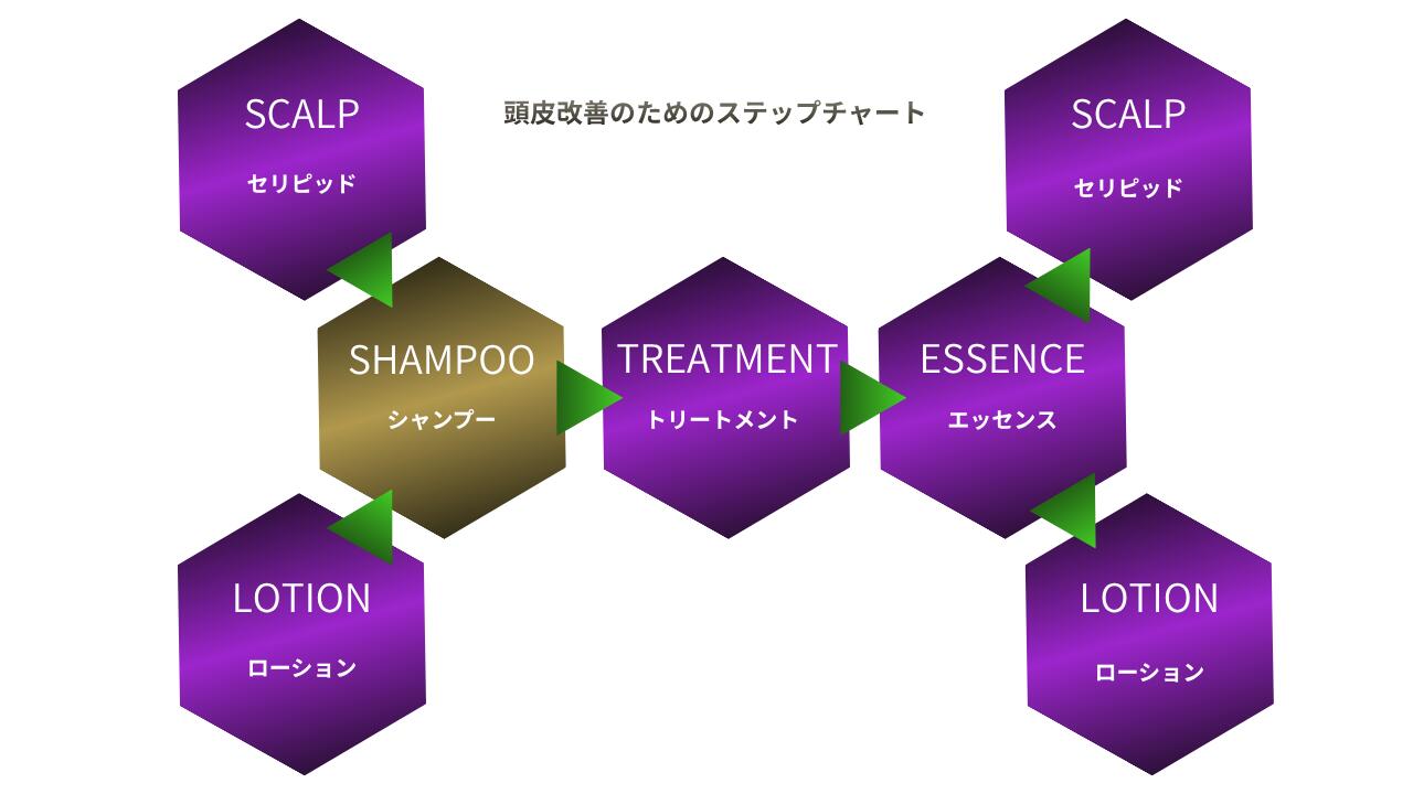 エコシャンプー1000ml／潤い ツヤ髪 しっとり ダメージ さらさら メンズ レディース 頭皮 日本製 シャンプー べたつき 泡で出る 家族で使える スカルプ ハリコシ 地肌 フケ かゆみ 脂漏性 エイジングケア 保湿 乾燥肌 敏感肌 加齢臭 臭い 低刺激