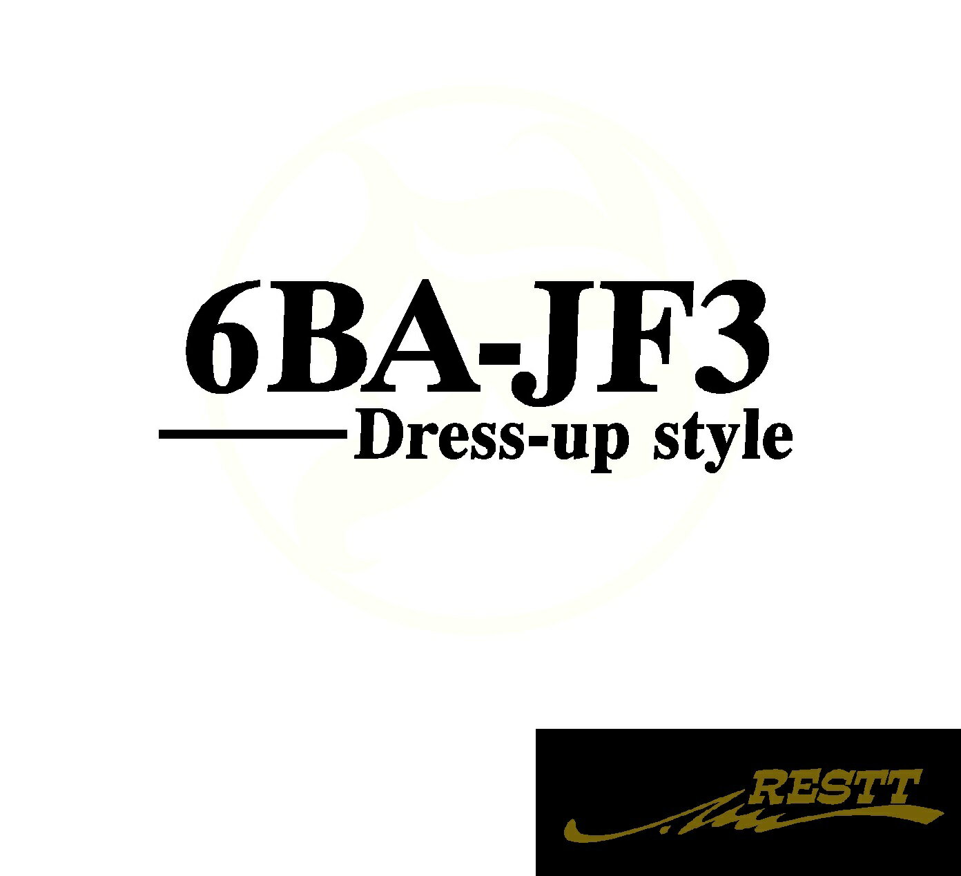N-BOX　6BA-JF3 6BA-JF4 DBA-JF3 DBA-JF4 DBA-JF1 DBA-JF2　ドレスアップスタイル　ロゴ　カッティングステッカー　中サイズ　6種類から選べる　おしゃれ　デザイン　かっこいい　ステッカー　本田　ホンダ　HONDA　型式