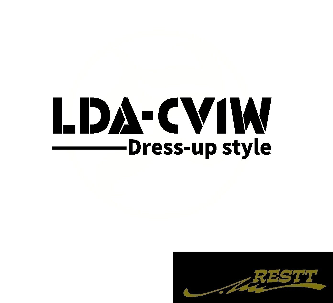 デリカ　D:5　LDA-CV1W　ドレスアップスタイル　ロゴ　カッティングステッカー　大サイズ　おしゃれ　デザイン　かっこいい　ステッカー　ミツビシ　三菱　型式