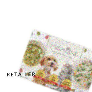 (MISHONE) 株式会社ミシュワンMISHONE 犬猫用粉末スープ各5g×10袋 (粉末スープ)(水分補給)(栄養補給)(ミシュワン)のサムネイル