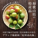 【ポイント10倍】梅干し 白干し梅 紀州南高梅 無添加 1kg 大粒 訳あり品 つぶれ梅 3