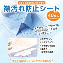 1000円ポッキリ 送料無料 襟汚れ防止テープ シート 汗取りシート 汗汚れ防止テープ シート 汗取り 汗吸収 汗ジミ防止 汗取りパッド