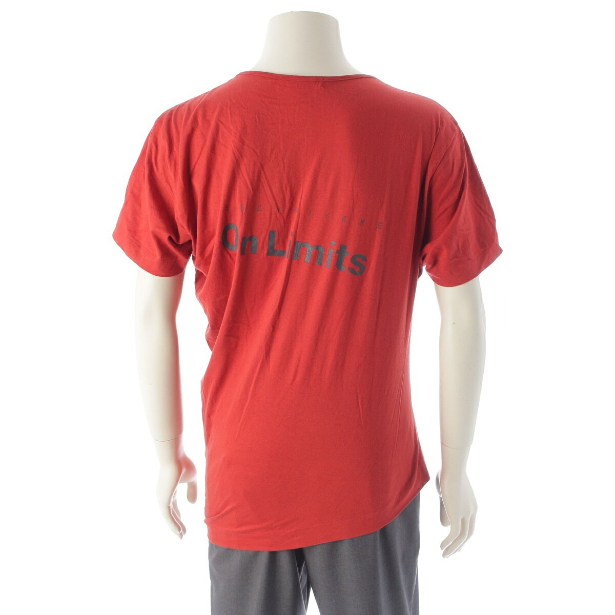 楽天市場】オレンジ（ブランドイッセイミヤケ）（Tシャツ・カットソー