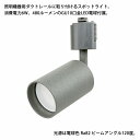 （2組セット）ダクトレール用スポットライト シリンダータイプ GU10口金 LED電球付き 商品電力6W (40W型相当) 電球色 ボディ:グレー 送..