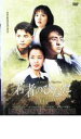 【バーゲンセール】【中古】DVD▼若者のひなた7 レンタル落ち