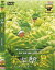【中古】DVD▼菊次郎の夏 レンタル落ち 1,899円