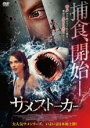 【中古】DVD▼サメストーカー レンタル落ち