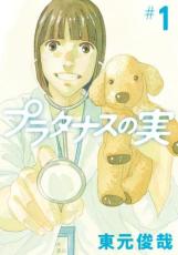 【中古】 プラタナスの実 全10巻 完結 セット 東元俊哉 [レンタル落ち] [コミック] [漫画]