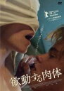 【バーゲンセール】【中古】DVD▼欲動する肉体 字幕のみ レンタル落ち