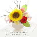 送料無料 プリザーブドフラワー ヒマワリ【ソアレ】ひまわり 向日葵/ 誕生日/ブリザーブド(お祝い 結婚祝 ギフト 引越祝い プリザード フラワー ブリザード)...