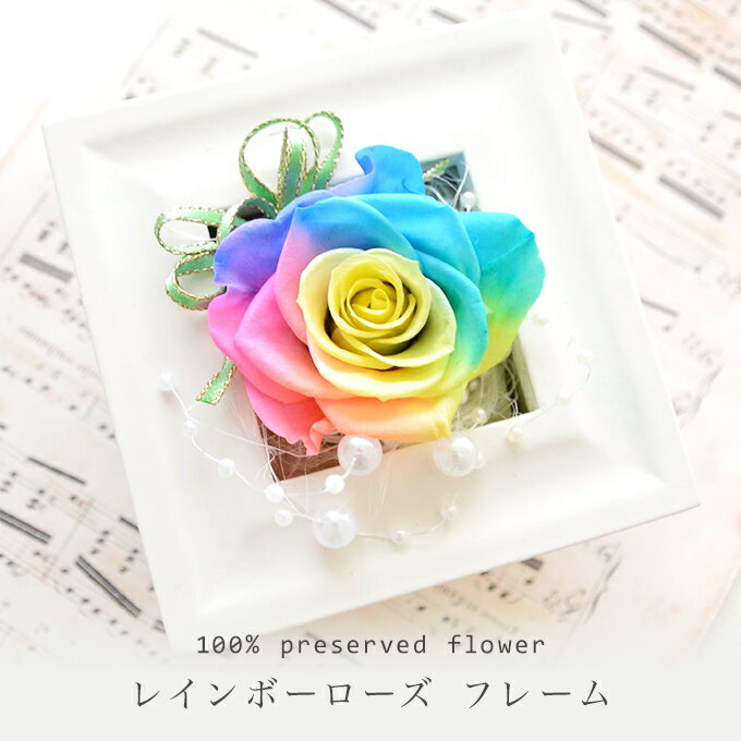 プリザーブドフラワーギフト  レインボー プチ 誕生日 ミニフレーム 誕生日/額（お祝い 結婚式 結婚祝 アレンジ 引越祝い プリザード フラワー　ブリザード）あす楽 楽ギフ_包装 花 ギフト 母の日