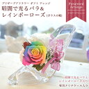 【送料無料】 暗闇で光るバラ&レインボーローズ プリザーブドフラワー 誕生日/★ガラスの靴 ハイヒール★ブリザーブド(お祝い 結婚祝 ギフト 引越祝い プリザー...