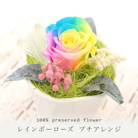 送料無料 プリザーブドフラワー レインボー/誕生日★レインボーローズ のプチアレンジ★プリザード（お祝い 結婚祝　お見舞い ギフト 引越祝い フラワー ブリザード）あす楽 2019年楽ギフ_包装　ケース入り【即日出荷】【春ギフト】【入学祝い】【母の日】