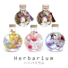 https://thumbnail.image.rakuten.co.jp/@0_mall/reve-flower/cabinet/04051875/imgrc0078704292.jpg