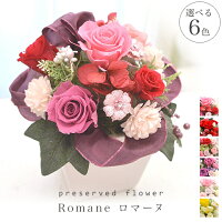  プリザーブドフラワー ギフト【Romaneロマーヌ】 ケース入り/誕生日/送料無料/ブリザーブド（お祝い 結婚祝 プリザードフラワー 引越祝い プリザード フラワー）あす楽 2019年楽ギフ_包装アレンジ　母の日 【春ギフト】【入学祝い】【母の日】