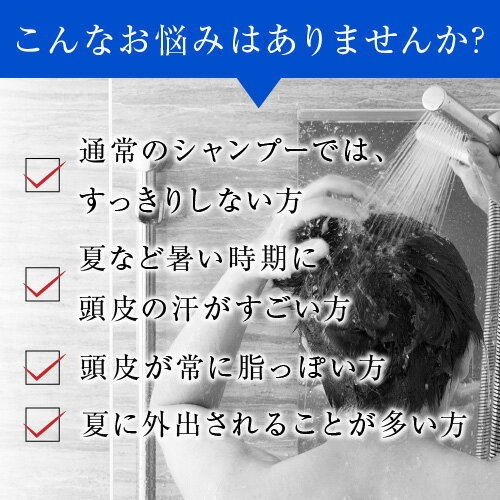 23日01:59まで 期間限定P10倍 【期間限定10%OFF】発毛専門リーブ21 アクティシャンプーR×2& スカルプシャンプー セット シャンプー 育毛シャンプー アミノ酸 アミノ酸シャンプー ノンシリコン メンズ レディース 男性用 女性用 男女兼用 フケ かゆみ 皮脂 抜け毛 育毛