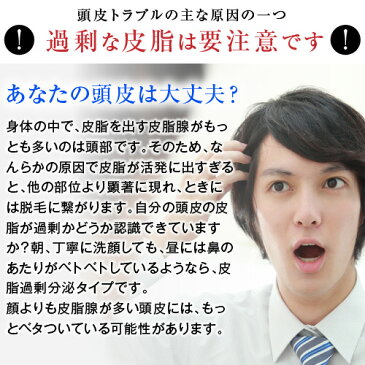 アクティシャンプーR×2本＆スカルプシャンプーセット 【rcp1908】 シャンプー しゃんぷー オススメ おすすめ 人気 にんき ランキング 皮脂 毛穴 スッキリ 天然成分 マグマ 天然火山灰 頭皮ケア 育毛ケア 男性 女性 リーブ21 りーぶ21 リーブ りーぶ