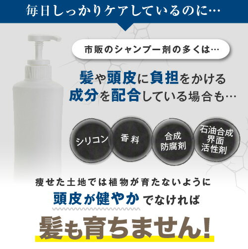 アクティシャンプーR＆スカルプコンディショナー(B-X)《脂性肌用》 セット 【rcp1905】 スカルプ シャンプー コンディショナー スカルプケア 薄毛 抜け毛 予防 オススメ おすすめ 人気 にんき アミノ酸 ノンシリコン オーガニック リーブ21 りーぶ21 リーブ直販