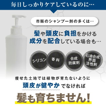 アクティシャンプーR＆スカルプコンディショナー(W-X)《普通・乾燥肌用》 セット 【rcp1905】 スカルプ シャンプー コンディショナー スカルプケア 薄毛 抜け毛 予防 オススメ おすすめ 人気 にんき アミノ酸 ノンシリコン オーガニック リーブ21 りーぶ21 リーブ直販