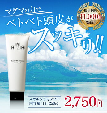 スカルプシャンプー（250g） シャンプー しゃんぷー オススメ おすすめ 人気 にんき ランキング スッキリ 天然成分 マグマ 天然火山灰 頭皮ケア 育毛ケア 男性 女性リーブ21 りーぶ21 リーブ りーぶ